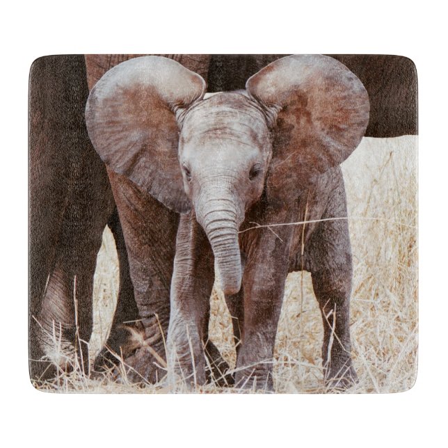 Baby Elephant Cute African Elephant with Mom Cutting Board (Front)