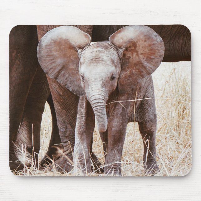 Baby Elephant Cute African Elephant with Mom Mouse Pad (Front)