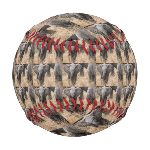 baby elephant cute animal savanna Africa African Baseball