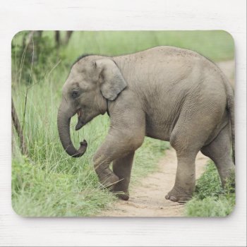 Baby Elephant Following The Mother Corbett Mouse Pad by theworldofanimals at Zazzle