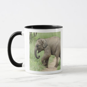 Baby Elephant following the mother,Corbett Mug