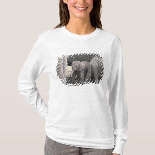 Baby elephant is standing and wobbly T_Shirt