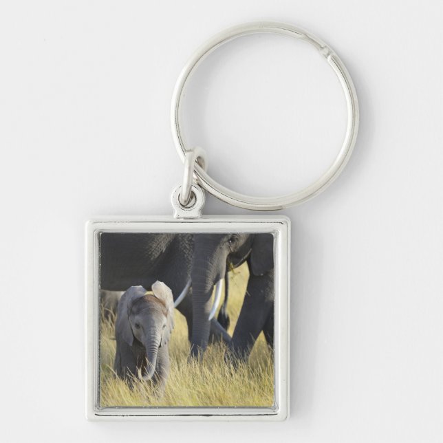 Baby Elephant Keychain (Front)