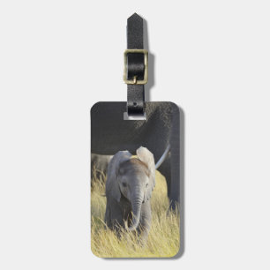 Baby Elephant Luggage Tag