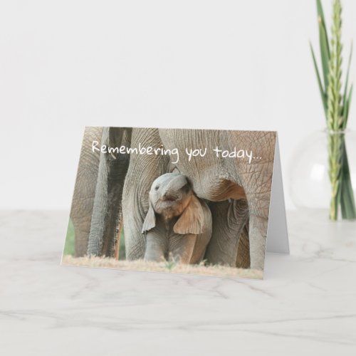 Baby Elephant Miss You Friend Love You BFF Card