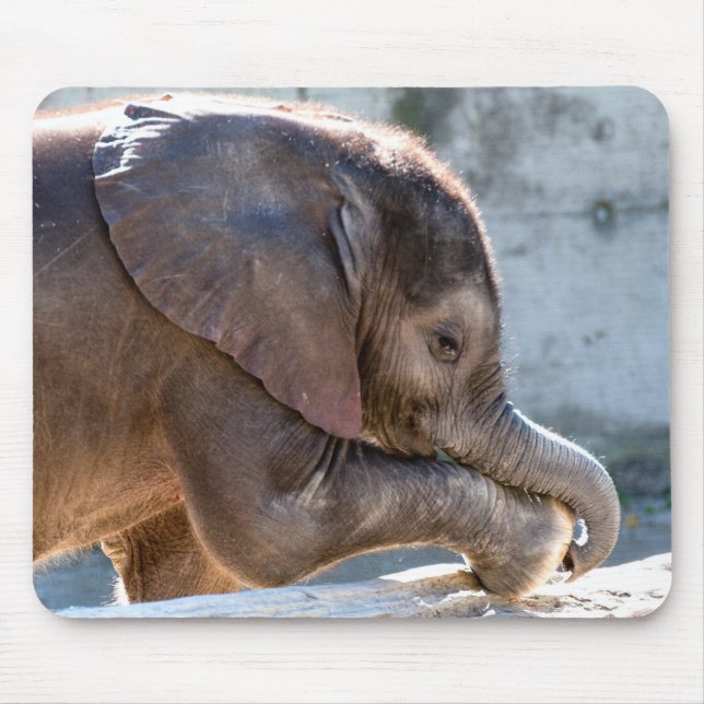 Baby Elephant Mouse Pad (Front)