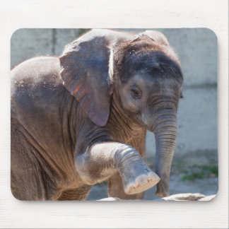 Baby Elephant Mouse Pad