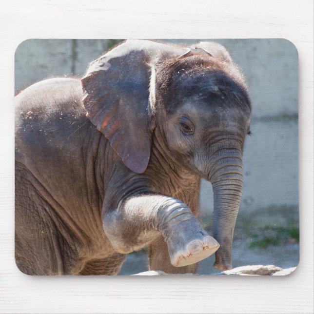 Baby Elephant Mouse Pad (Front)