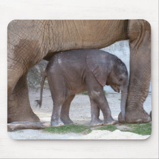Baby Elephant Mouse Pad