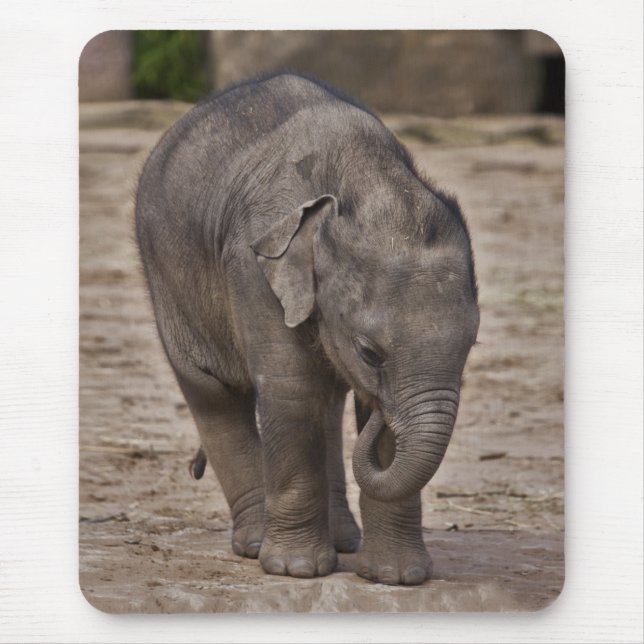 Baby Elephant Mousemat Mouse Pad (Front)