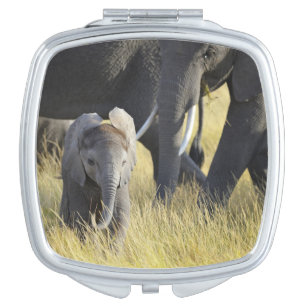 Baby Elephant Vanity Mirror