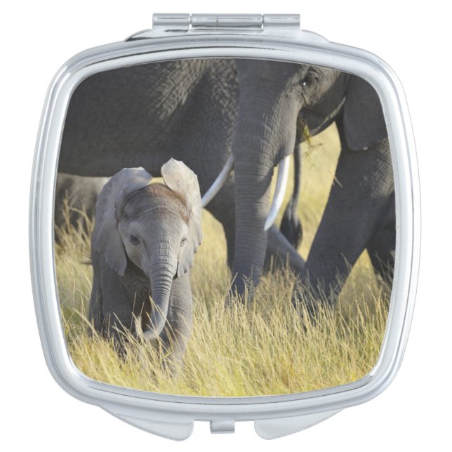 Baby Elephant Vanity Mirror (Front)
