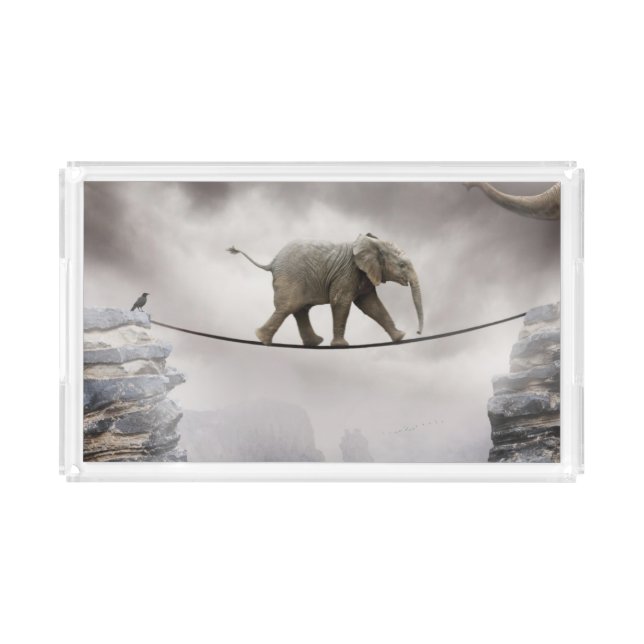 Baby Elephant Walks The Tightrope Acrylic Tray (Front)