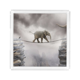Baby Elephant Walks The Tightrope Acrylic Tray