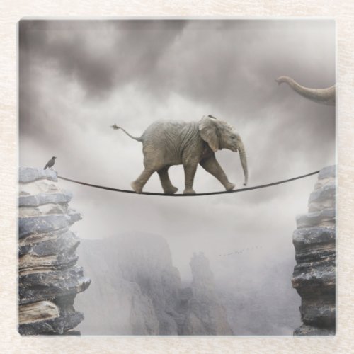 Baby Elephant Walks The Tightrope Glass Coaster