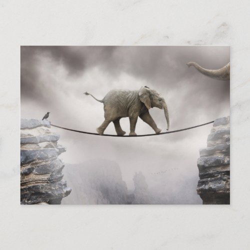 Baby Elephant Walks The Tightrope Postcard