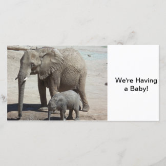 Baby Elephant with Mommy Announcement