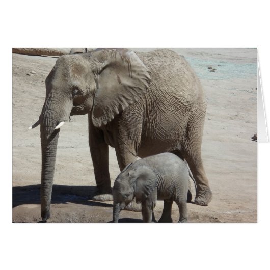Baby Elephant with Mommy Cards (Front Horizontal)