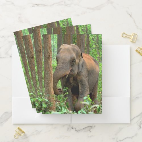 Baby Elephants Pocket Folder