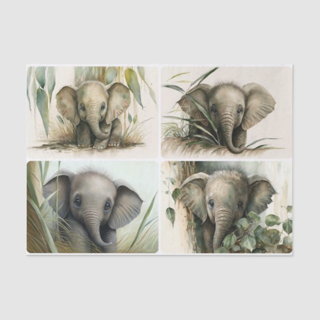 Baby Elephants  Tissue Paper (Front)