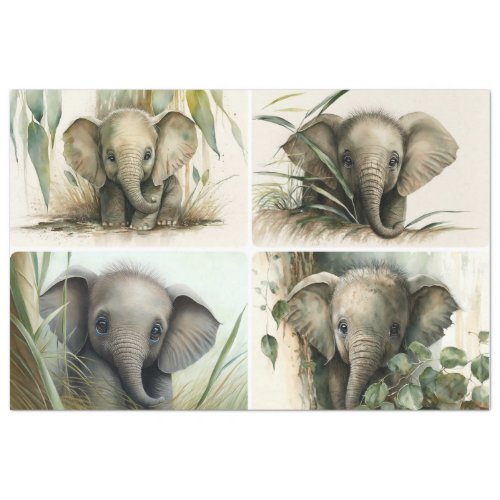 Baby Elephants  Tissue Paper