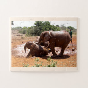Baby elephants washing animal jigsaw puzzle