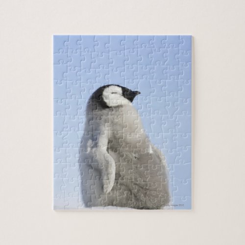 Baby Emperor Penguin Snow Hill Island Jigsaw Puzzle