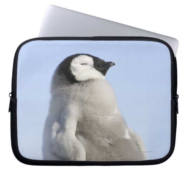 Baby Emperor Penguin, Snow Hill Island Laptop Sleeve (Front)