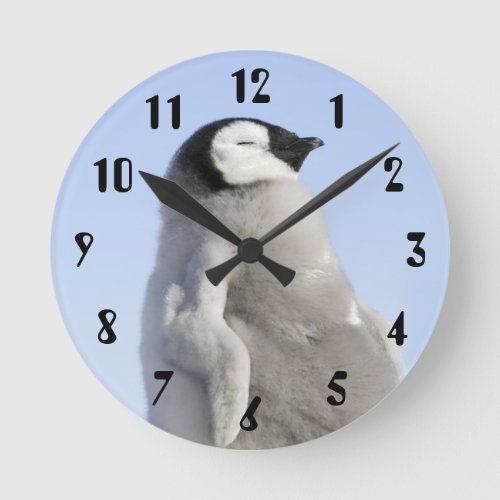 Baby Emperor Penguin Snow Hill Island Round Clock