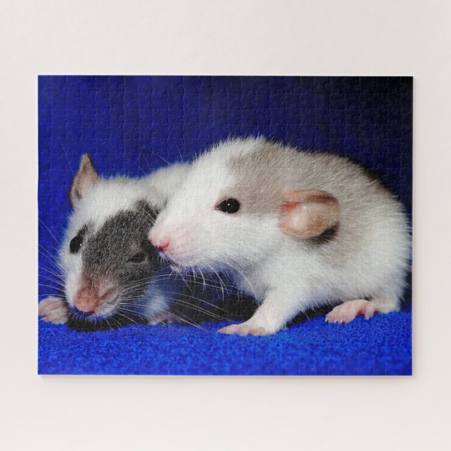 Baby Fancy Pet Rat Pups Jigsaw Puzzle (Horizontal)