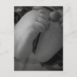 Baby Feet Postcard