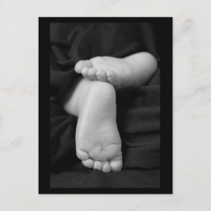 Baby Feet Postcard