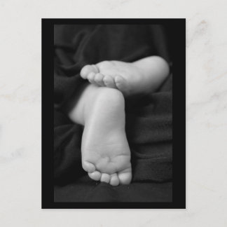 Baby Feet Postcard