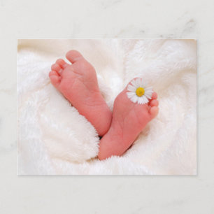 Baby Feet With Daisy Postcard