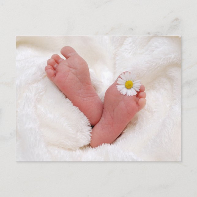 Baby Feet With Daisy Postcard (Front)