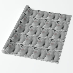 Baby Feet Wrapping Paper