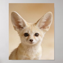 Baby Fennec Fox Portrait – Cute Nursery Animal Wal