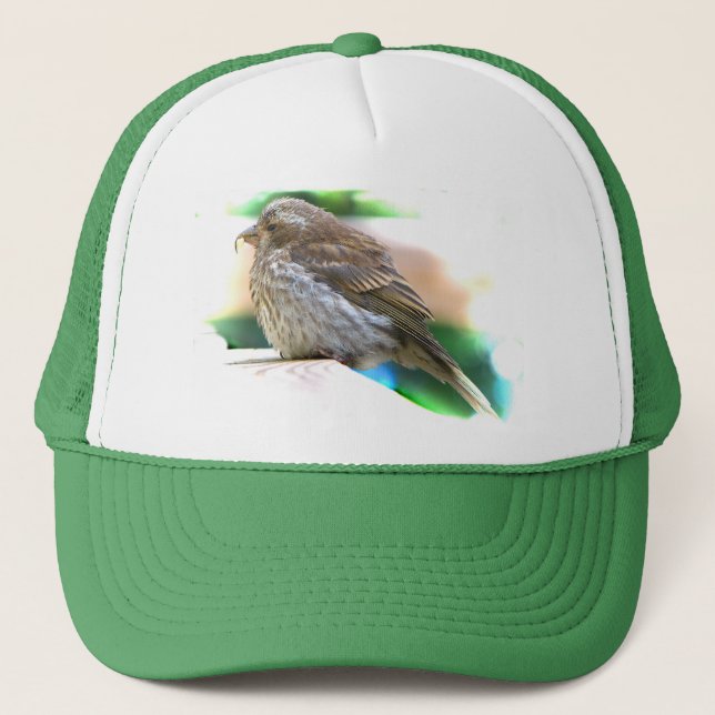 Baby Finch Trucker Hat (Front)