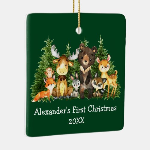 Baby First Christmas Animals Green _ PHOTO BACK Ceramic Ornament