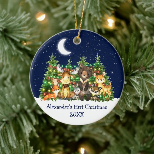 Baby First Christmas Forest Animals Lights Sky Ceramic Ornament