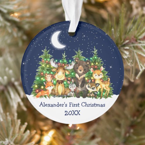 Baby First Christmas Forest Animals Lights Sky Ornament