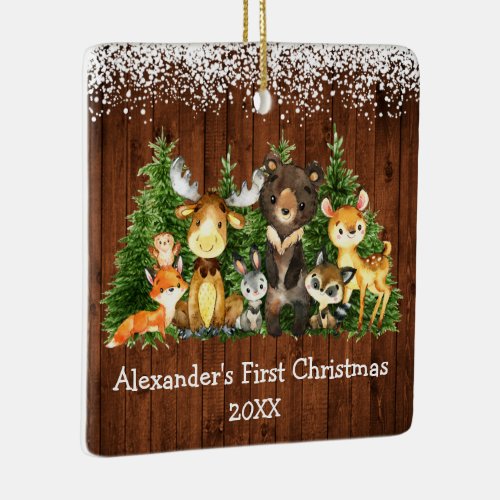 Baby First Christmas Forest Animals Snow PHOTO Ceramic Ornament