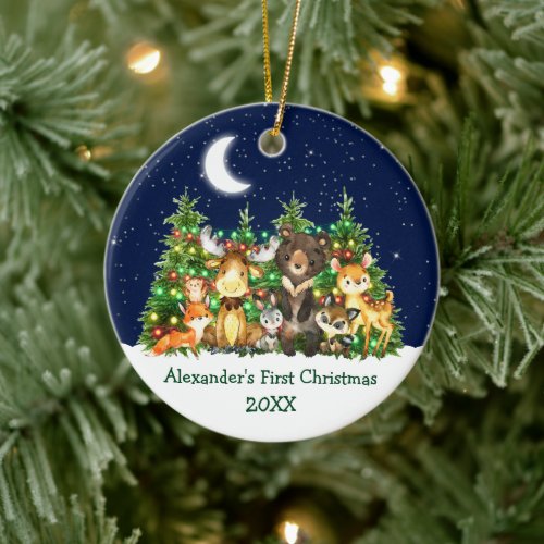 Baby First Christmas Lights Sky Forest Animals Ceramic Ornament