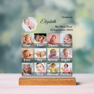 Baby First Year 12 Month Photo Collage Milestone Acrylic Sign