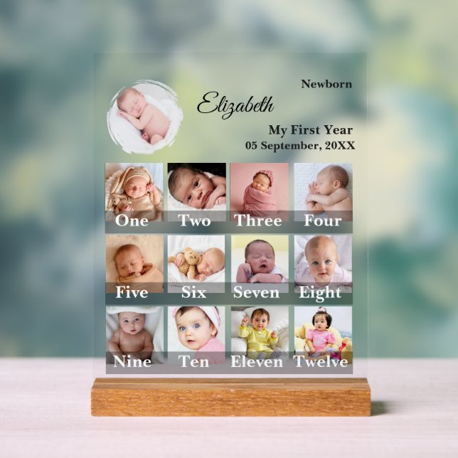 Baby First Year 12 Month Photo Collage  Milestone Acrylic Sign (Neutral)