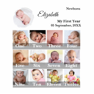 Baby First Year 12 Month Photo Collage Milestone Cutout