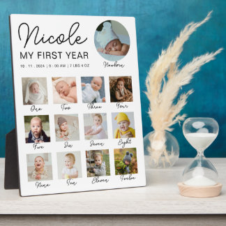 Baby First Year 12 Months Photo Collage Modern Plaque