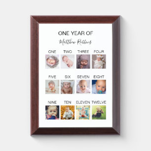 Baby First Year Photo Award Plaque