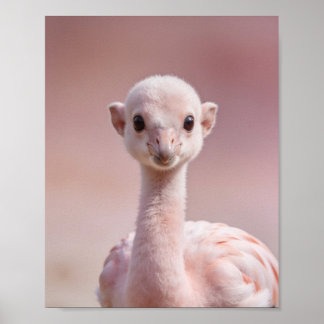 Baby Flamingo Portrait – Cute Nursery Animal Wall  Poster