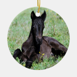 Baby foal lying in the meadow christmas tree ceramic ornament